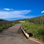 Apartamento Au Pied Des Vignes *