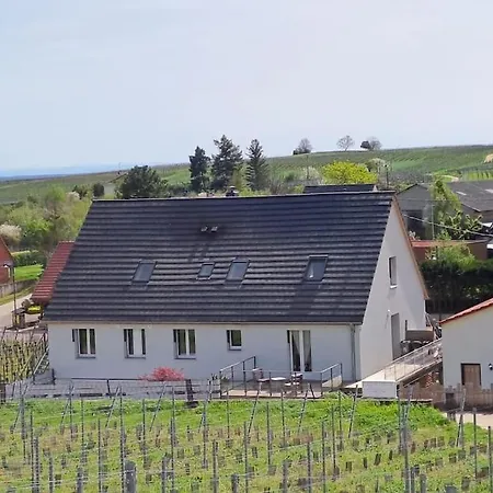 Au Pied Des Vignes, Cocon Douillet Et Chaleureux ! Appartement Bergheim