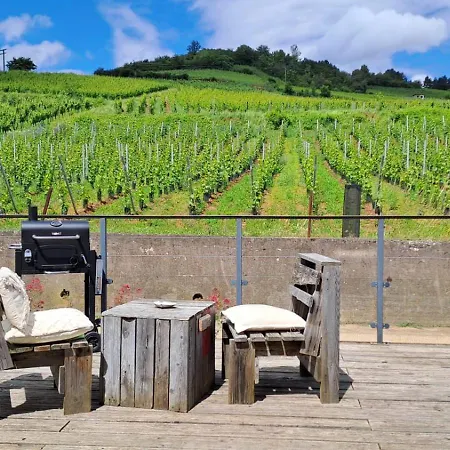 Au Pied Des Vignes, Cocon Douillet Et Chaleureux ! *