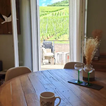 Au Pied Des Vignes, Cocon Douillet Et Chaleureux ! Appartement Bergheim