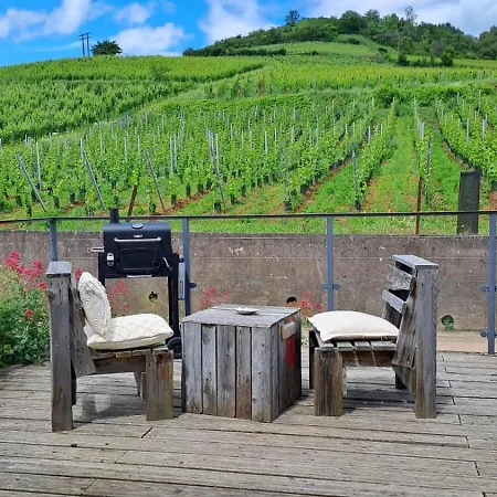 Appartement Au Pied Des Vignes, Cocon Douillet Et Chaleureux ! *