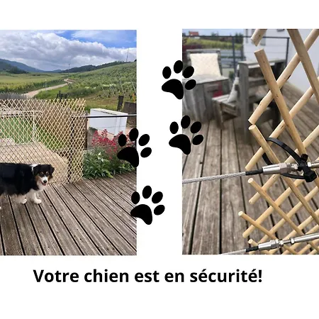 Au Pied Des Vignes, Cocon Douillet Et Chaleureux ! * Bergheim