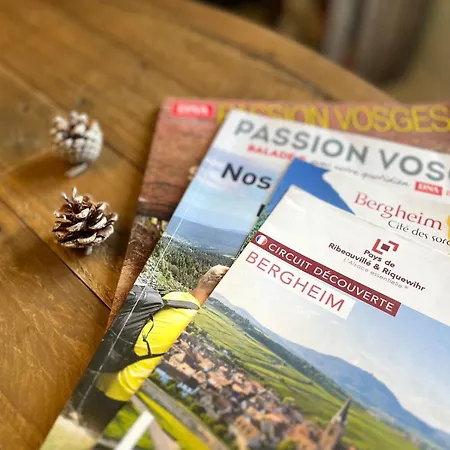 Au Pied Des Vignes 公寓
