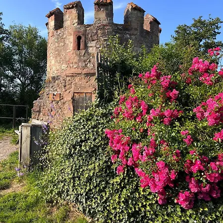 Au Pied Des Vignes Bergheim