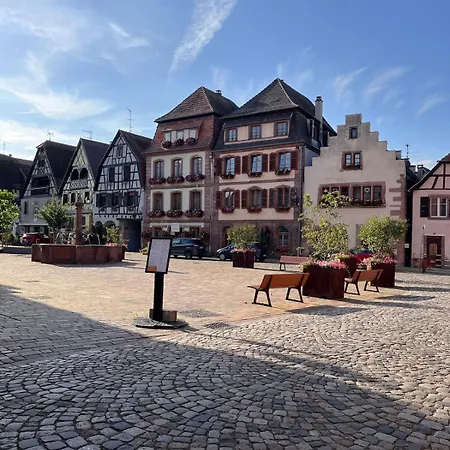 Au Pied Des Vignes Bergheim