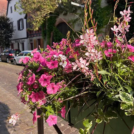 Au Pied Des Vignes Daire