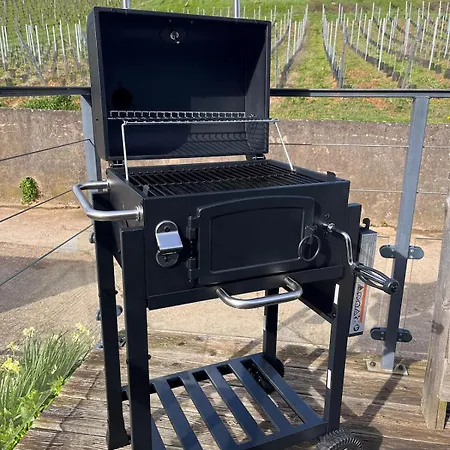 Au Pied Des Vignes Bergheim