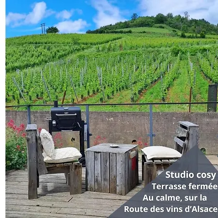 Au Pied Des Vignes *