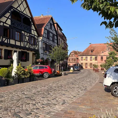 Au Pied Des Vignes Daire Bergheim