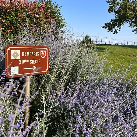 Au Pied Des Vignes